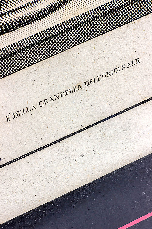 Гравюры (серия №2) "Древности Геркуланума", паспарту, багет, Италия, первая половина XIX века